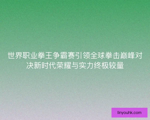 世界职业拳王争霸赛引领全球拳击巅峰对决新时代荣耀与实力终极较量